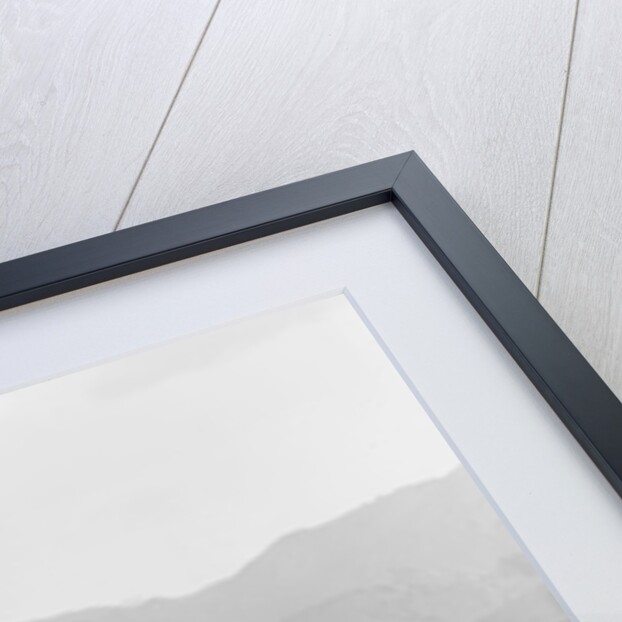 Pike's Peak from Altman, Colorado, c.1900 by Detroit Publishing Co.