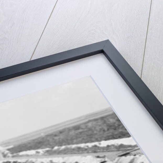 Drainage canal and Everglades, Miami, Florida, c.1910-20 by Detroit Publishing Co.