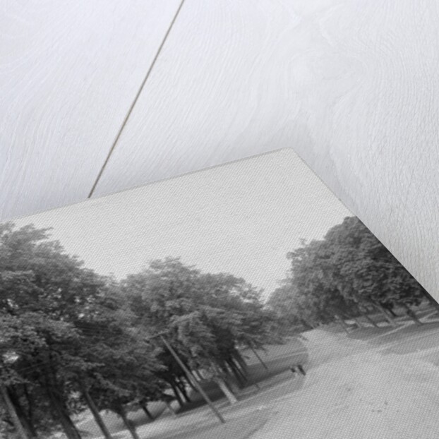 The Campus, Williams College, Williamstown, Massachusetts, c.1904 by Detroit Publishing Co.