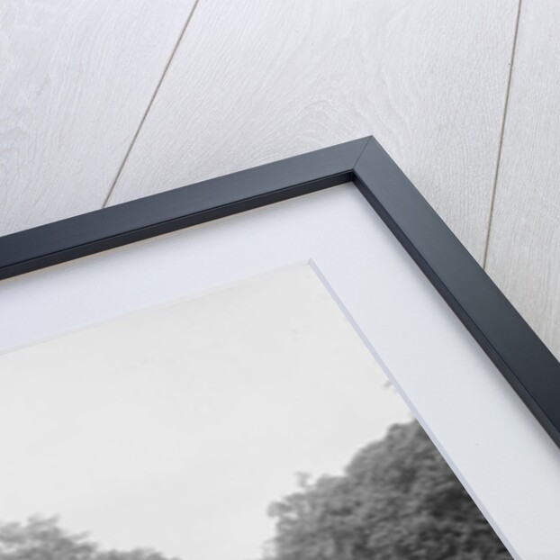 The Campus, Williams College, Williamstown, Massachusetts, c.1904 by Detroit Publishing Co.