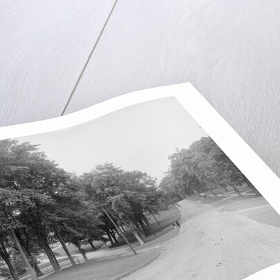 The Campus, Williams College, Williamstown, Massachusetts, c.1904 by Detroit Publishing Co.