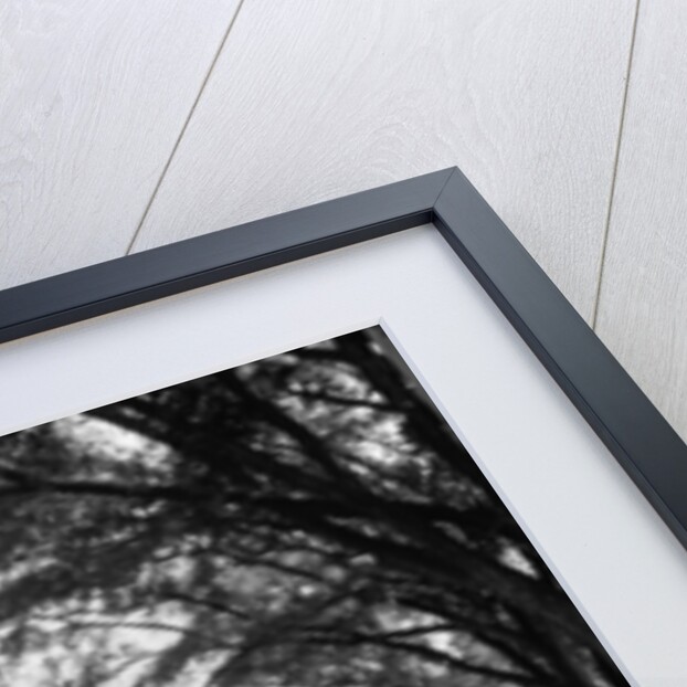 South Middle College, only remaining old building at Yale, c.1900-06 by Detroit Publishing Co.