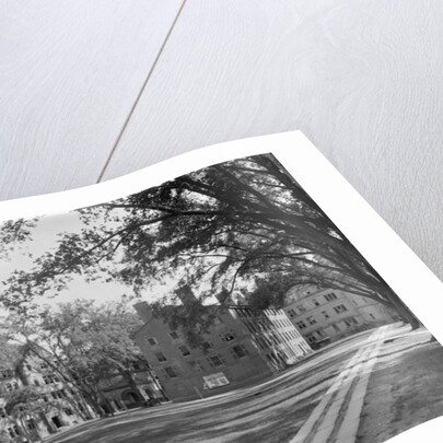 South Middle College, only remaining old building at Yale, c.1900-06 by Detroit Publishing Co.