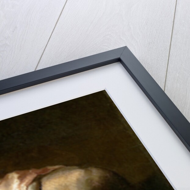 Study of Feet and Hands, c.1818-19 by Theodore Gericault