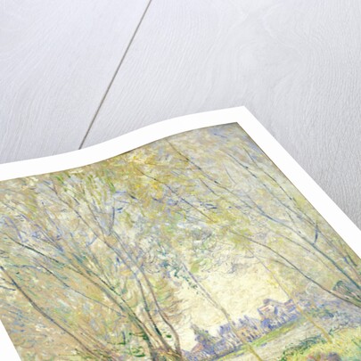 Woman seated under the Willows, 1880 by Claude Monet