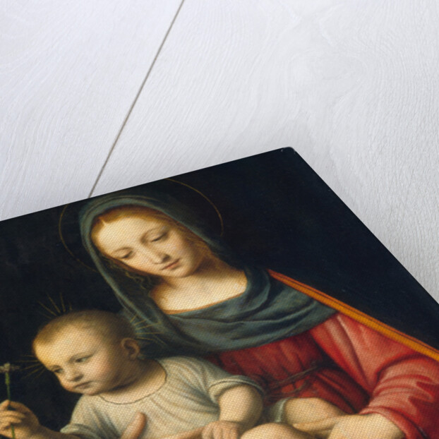 The Madonna of the Carnation, c.1515 by Bernardino Luini