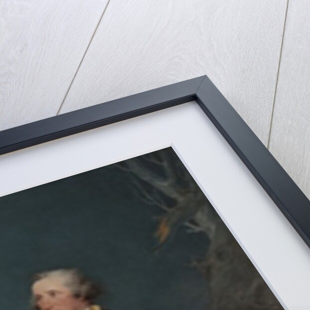 General George Washington at Trenton, 1792 by John Trumbull