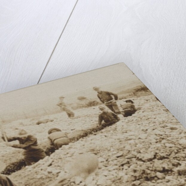 U.S. Marines in France Digging in, 1917-19 by American Photographer