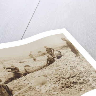 U.S. Marines in France Digging in, 1917-19 by American Photographer