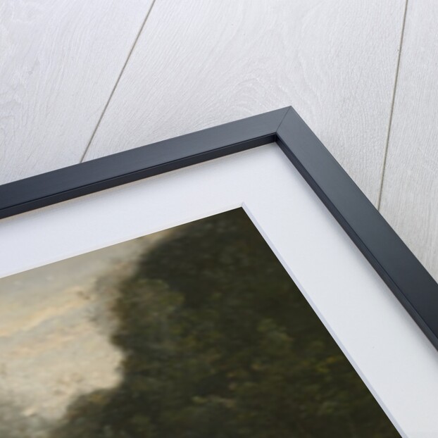 The Dance of the Nymphs, 1865-70 by Jean Baptiste Camille Corot