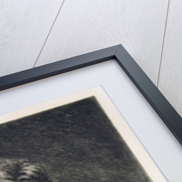 Gustave Courbet, 1882 by Etienne Gabriel Bocourt