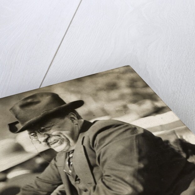 Theodore Roosevelt smiling from an automobile by Anonymous