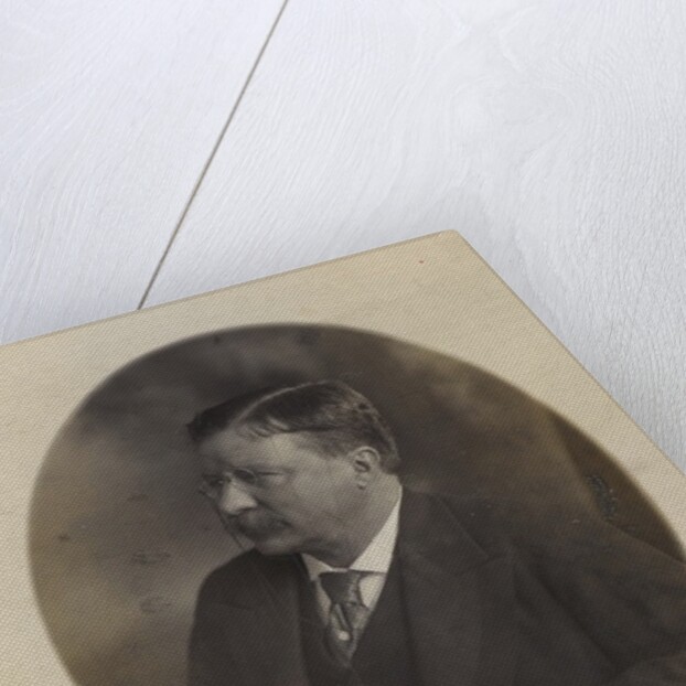 President Theodore Roosevelt, sitting side face by Anonymous