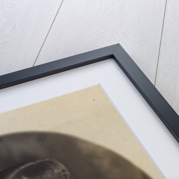 President Theodore Roosevelt, sitting side face by Anonymous