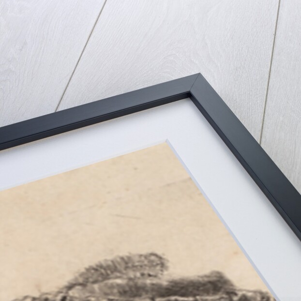 Self Portrait with Saskia, 1636 by Rembrandt Harmensz. van Rijn