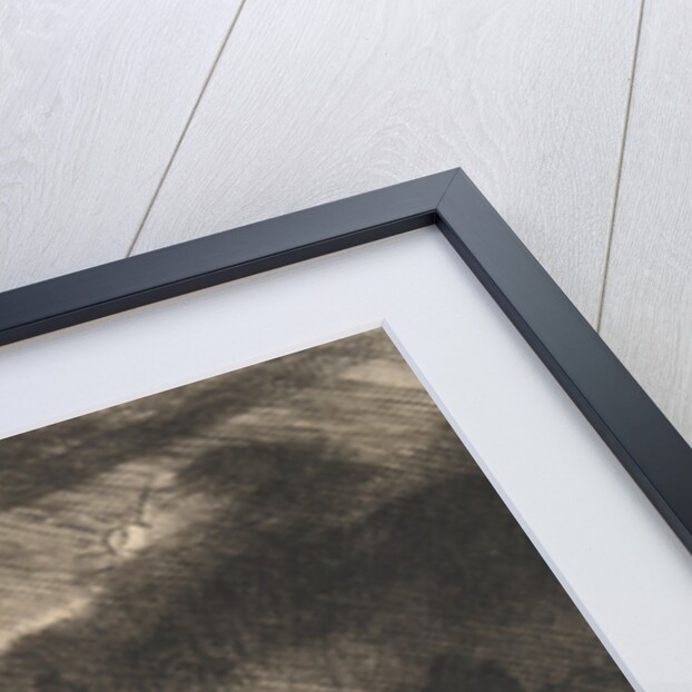 The Agony in the garden, c.1657 by Rembrandt Harmensz. van Rijn