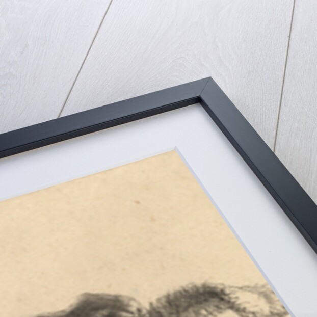 Self Portrait in a Velvet Cap with Plume, 1638 by Rembrandt Harmensz. van Rijn