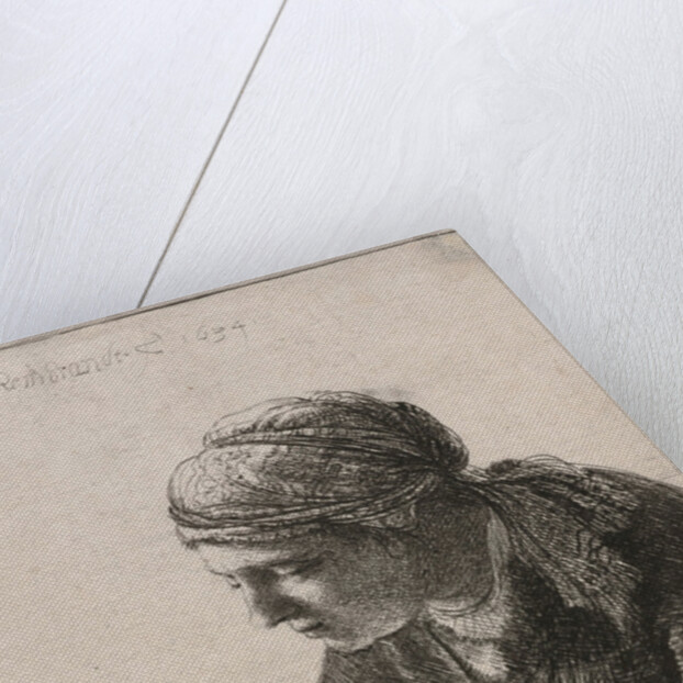 Woman Reading, 1634 by Rembrandt Harmensz. van Rijn