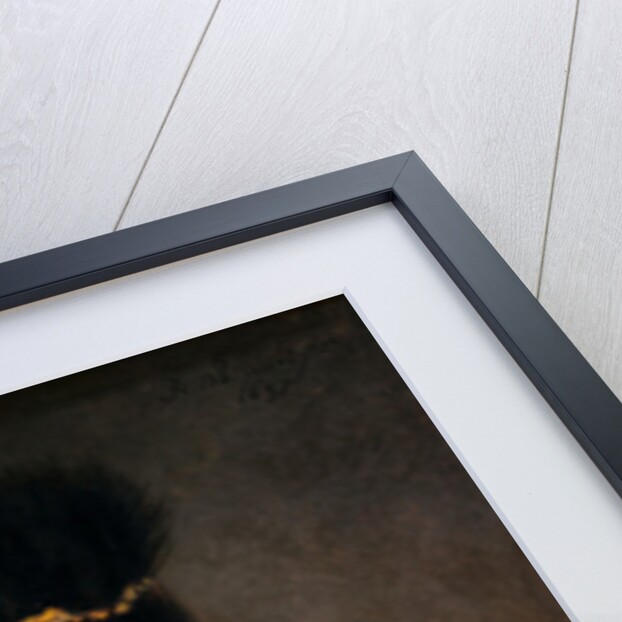 A Polish Nobleman, 1637 by Rembrandt Harmensz. van Rijn