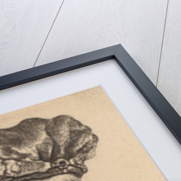 Bearded Man in a Velvet Cap with a Jewel Clasp, 1637 by Rembrandt Harmensz. van Rijn