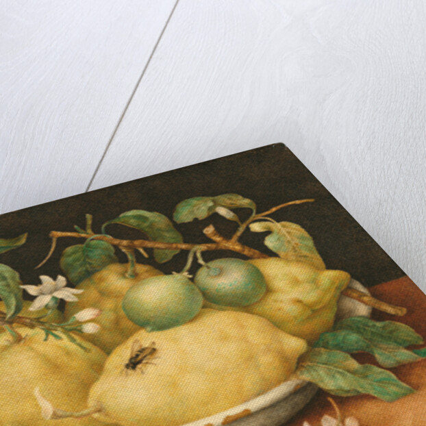 Still Life with a Bowl of Citrons, c.1640 by Giovanna Garzoni
