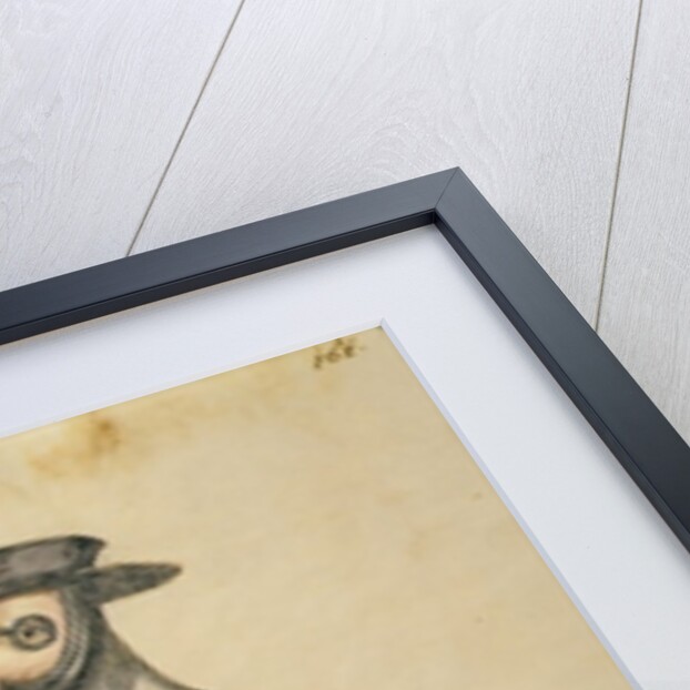 Venetian Doctor during the time of the plague, 18th century by Jan van Grevenbroeck