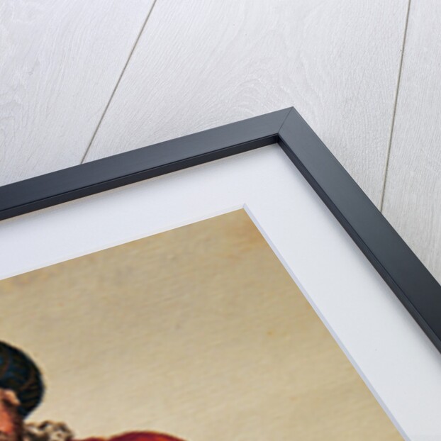 A Venetian Traveller by Jan van Grevenbroeck