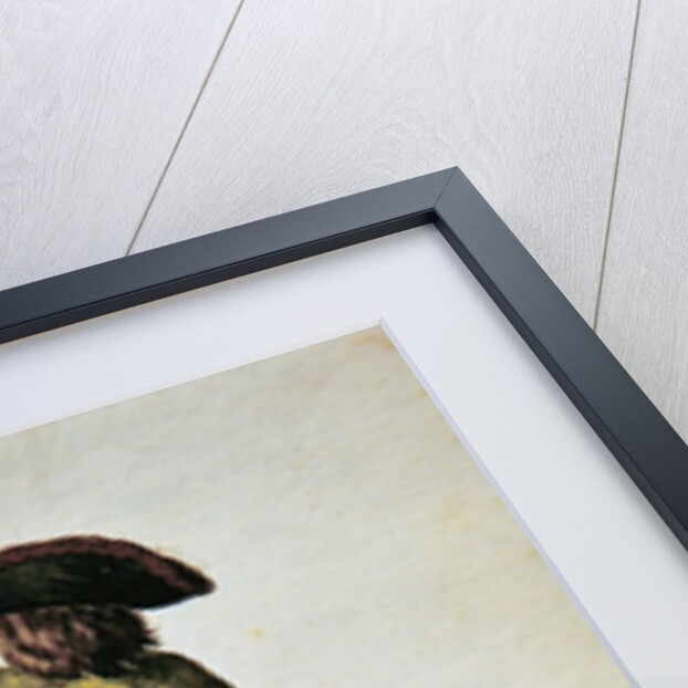 Nobleman playing racquets by Jan van Grevenbroeck