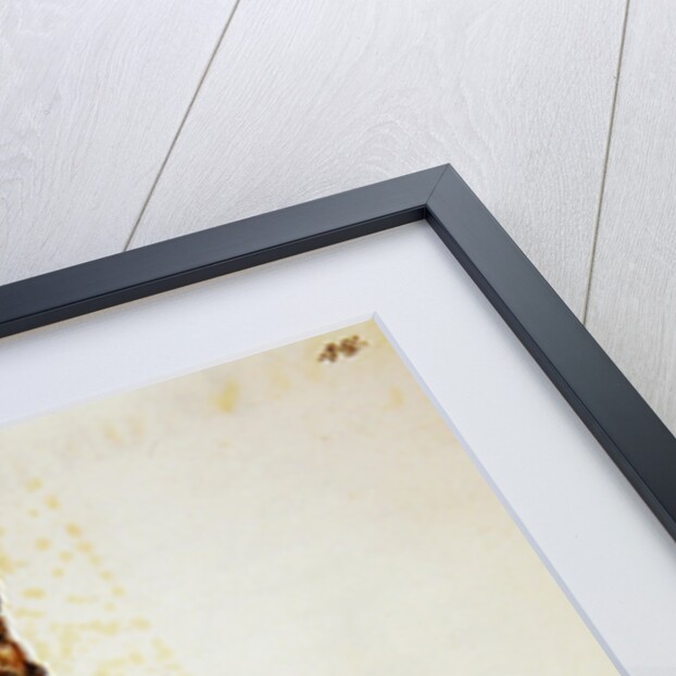 Venetian missionary in China by Jan van Grevenbroeck