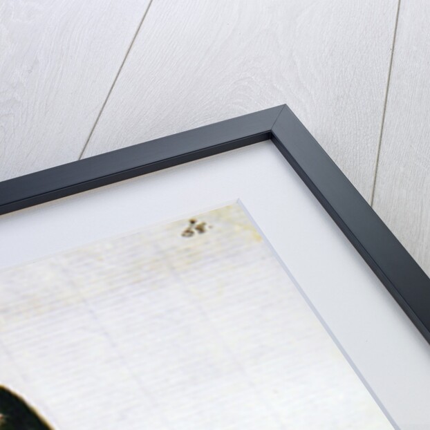 Robes of the Confraternity of the Name of God by Jan van Grevenbroeck