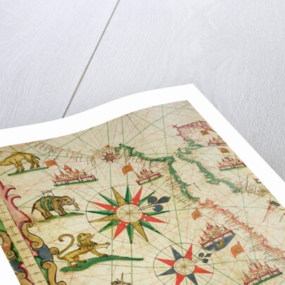 The North African Coast by Pietro Giovanni Prunes