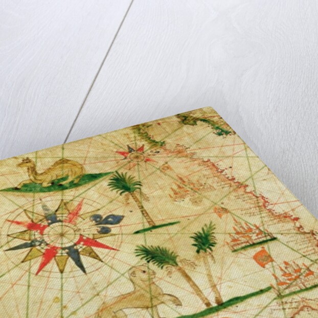 The North Coast of Africa by Pietro Giovanni Prunes