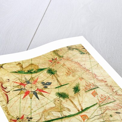 The North Coast of Africa by Pietro Giovanni Prunes