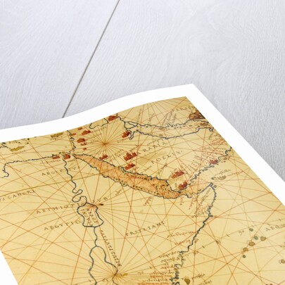 Part of Africa by Battista Agnese