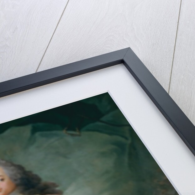 Portrait of Frederick V, 1749 by Carl Gustaf Pilo