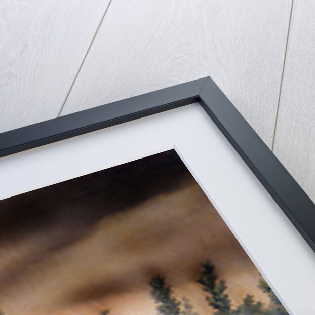 Scene from the Battle of Solferino: Fighting in the Cemetery by Antonio Spandri