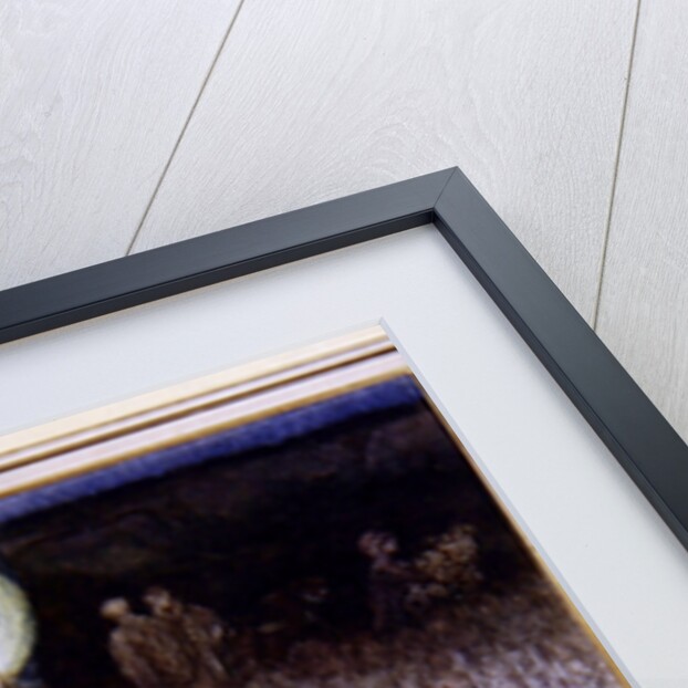 Illustration from Dante's 'Divine Comedy', Purgatory, Canto XXVIII: 130, 1921 by Franz von Bayros