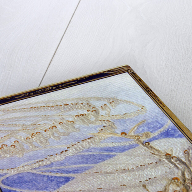 Illustration from Dante's 'Divine Comedy', Paradise, Canto XXX, 1921 by Franz von (1866-1924) Bayros