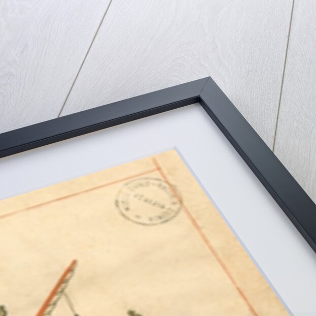 Ms. cicogna 1671 by Islamic School