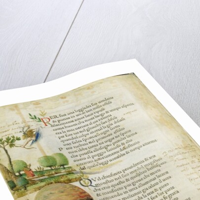 Fol. 1v, 'Per fare una leggiadra sua vendetta' by Italian School