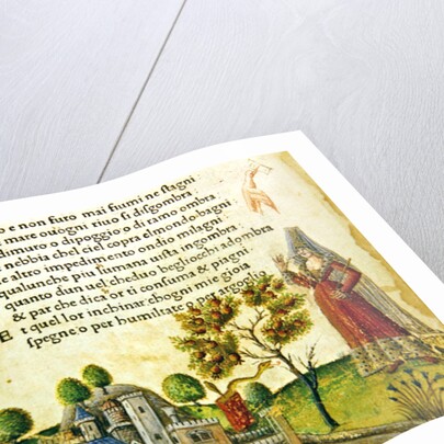 Fol. 17v, 'Orso e non furo mai fiumi ne stagni' by Italian School