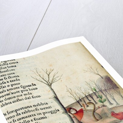 Fol. 52r from 'Canzoniere e Trionfi' by Petrarch, c.1470 by Italian School