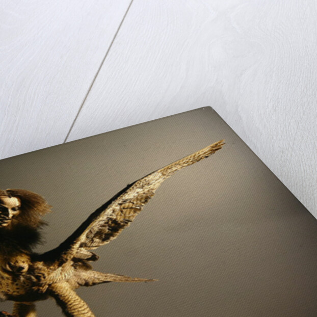 A Harpy by Anonymous