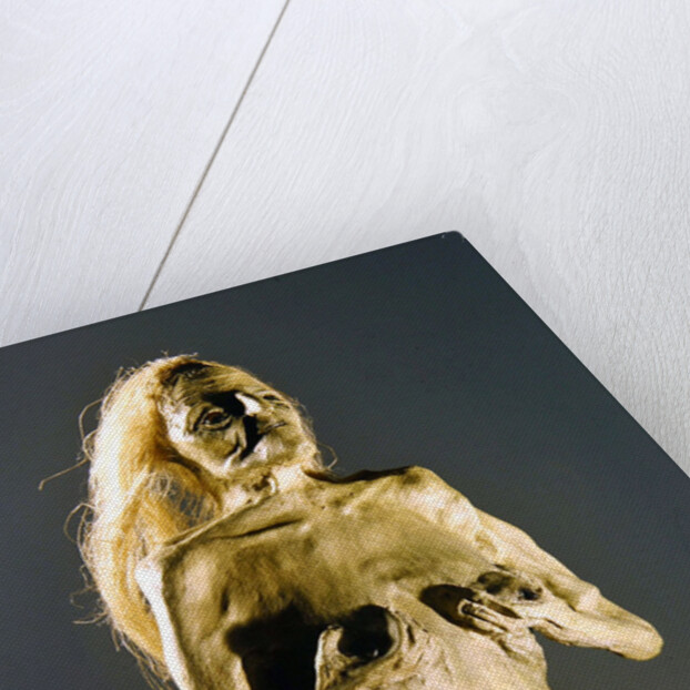 Half-woman, half-snake creature, spawn of Melusine, 1900 by Anonymous