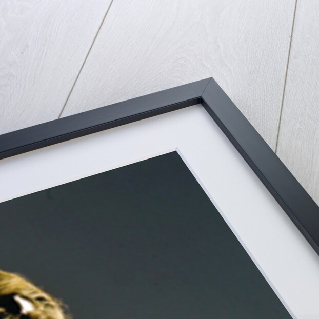 Half-woman, half-snake creature, spawn of Melusine, 1900 by Anonymous