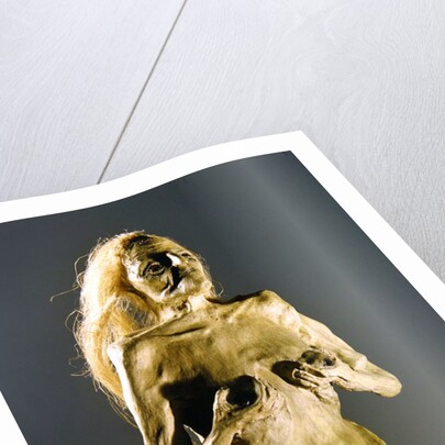 Half-woman, half-snake creature, spawn of Melusine, 1900 by Anonymous