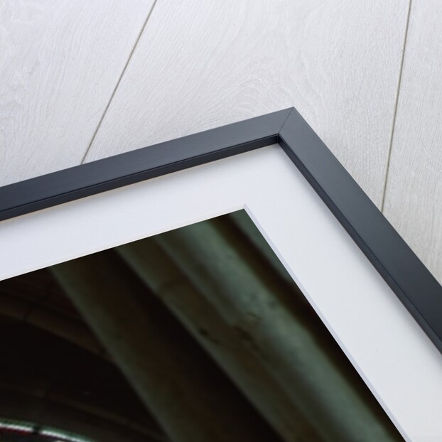 Rosette window by Anonymous