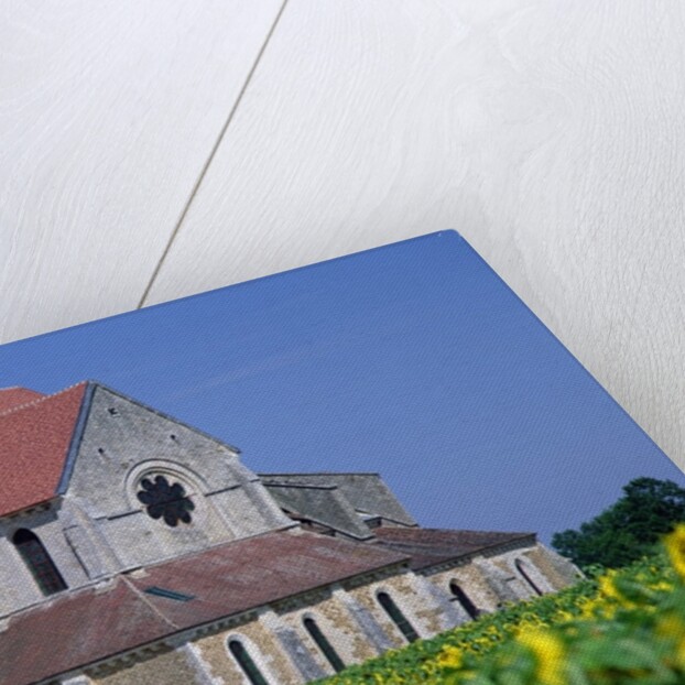 Pontigny Abbey by Anonymous