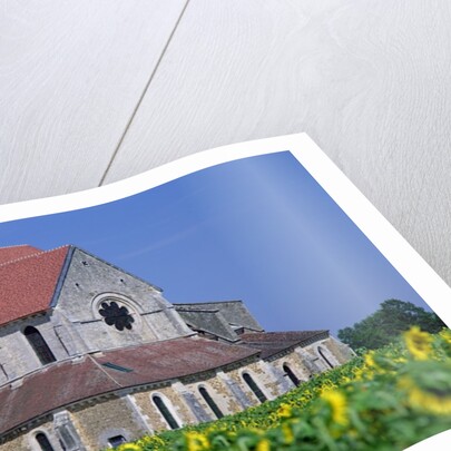 Pontigny Abbey by Anonymous