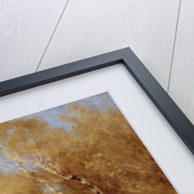 The Primrose Gatherers, 1903 by John Clayton Adams